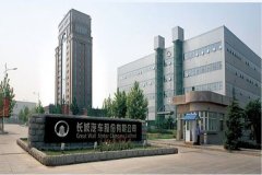 【長(cháng)城汽車(chē)股份有限公司】DN125國