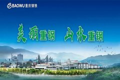 【重慶鋼鐵股份有限公司煉鋼廠(chǎng)項